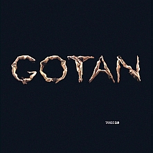 gotan project