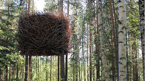 къща на дърво
