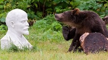 Ленин, мечка