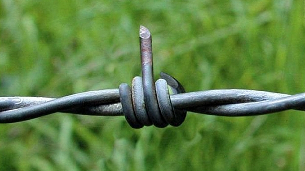 ïåñèìèçúì ïåñèìèçúì