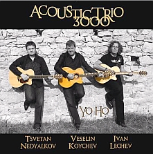 Acoustic Trio 3000