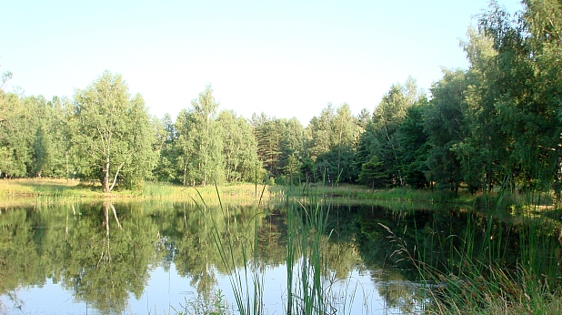 гора гора