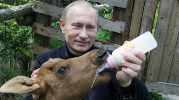 путин лос путин лос