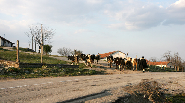 Село Село
