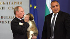 куче Владимир Путин
