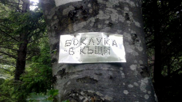 витоша витоша