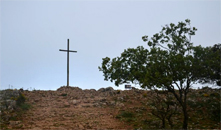 El Camino