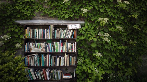 книги книги