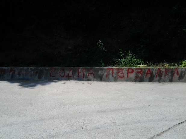 бяла бяла