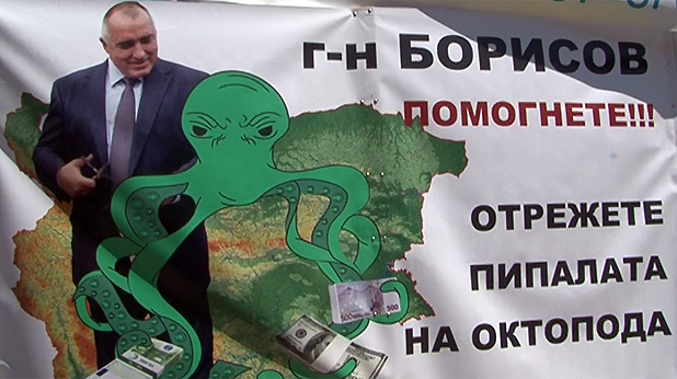 зелен октопод зелен октопод