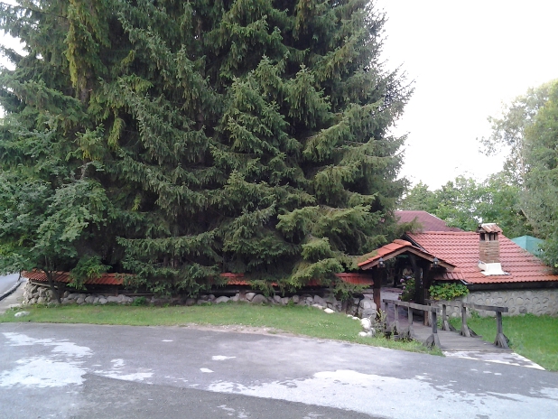 банско_реп банско_реп