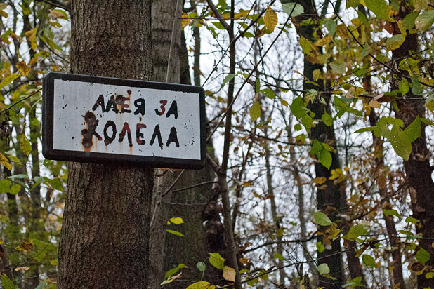 път в борисовата път в борисовата