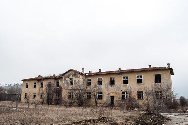 сливница сливница