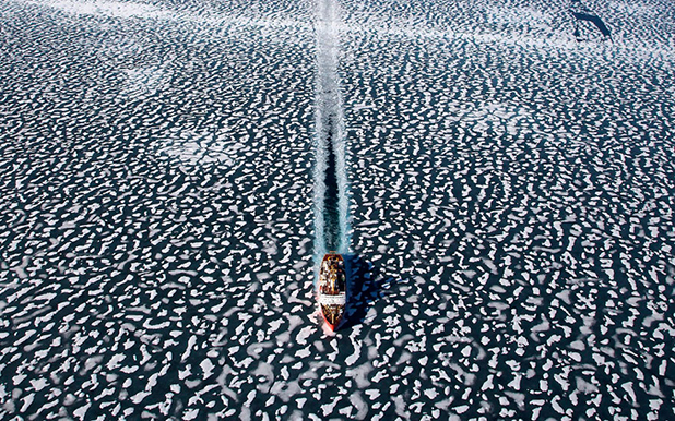 yann arthus bertrand yann arthus bertrand