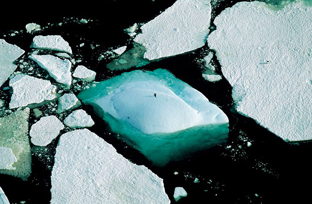 yann arthus bertrand yann arthus bertrand