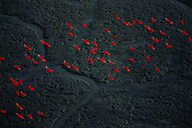 yann arthus bertrand yann arthus bertrand