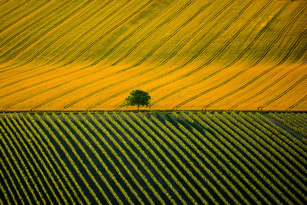 yann arthus bertrand yann arthus bertrand