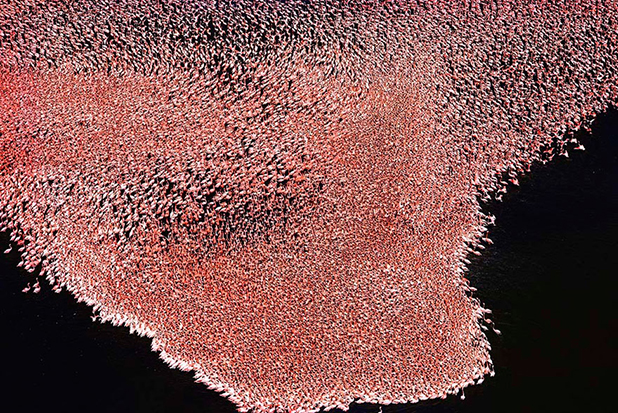 yann arthus bertrand yann arthus bertrand