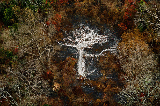 yann arthus bertrand yann arthus bertrand