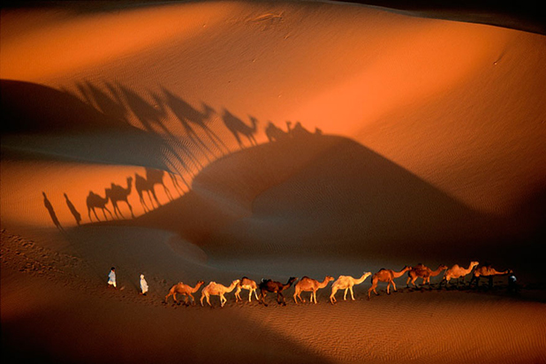 yann arthus bertrand yann arthus bertrand