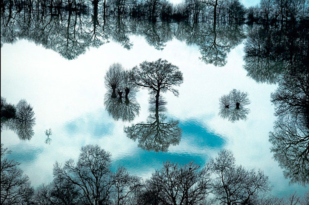 yann arthus bertrand yann arthus bertrand