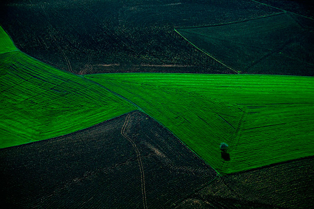 yann arthus bertrand yann arthus bertrand