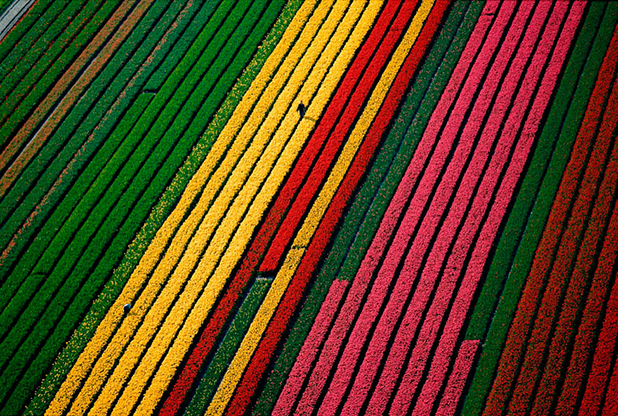 yann arthus bertrand yann arthus bertrand