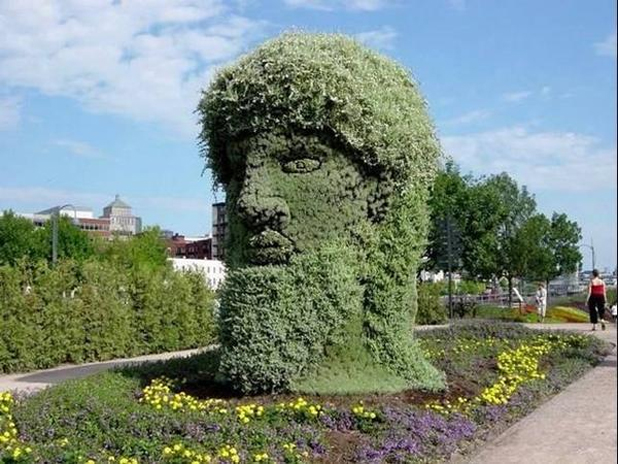 топиари топиари