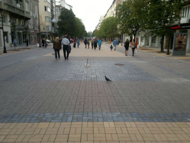 главната главната