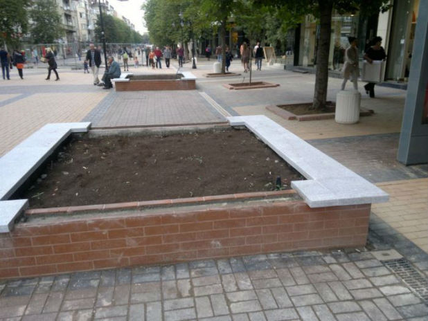 главната главната