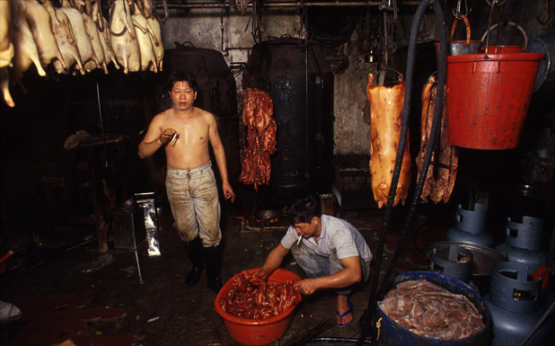 kowloon walled city kowloon walled city
