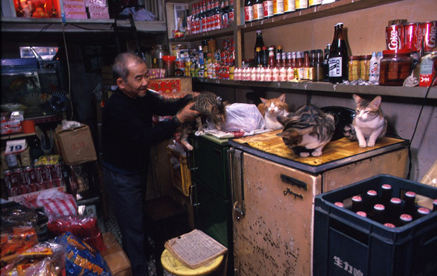kowloon walled city kowloon walled city
