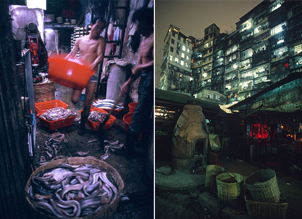 kowloon walled city kowloon walled city