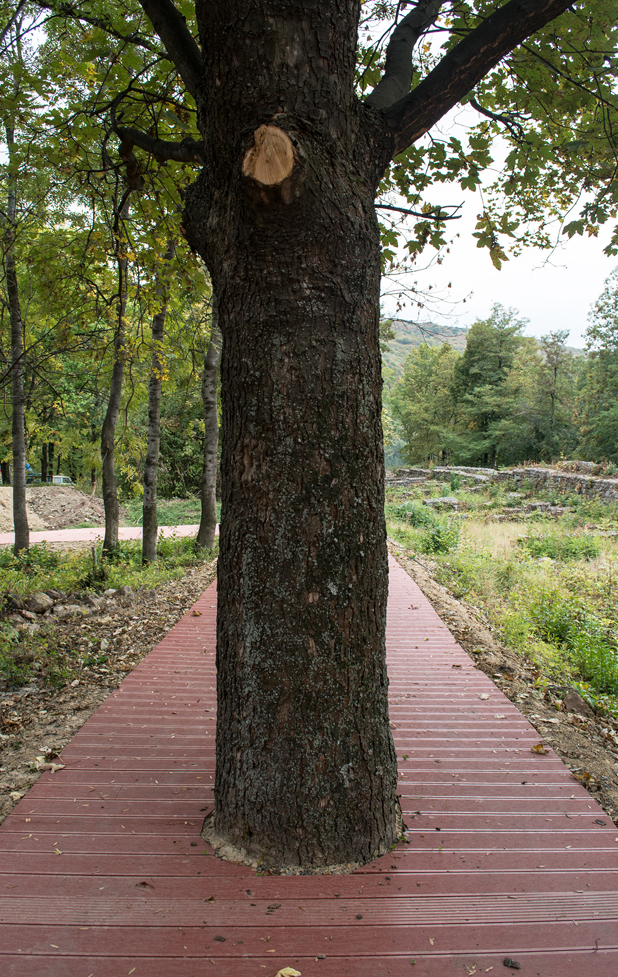кракра кракра