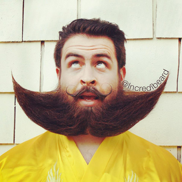 incredibeard incredibeard