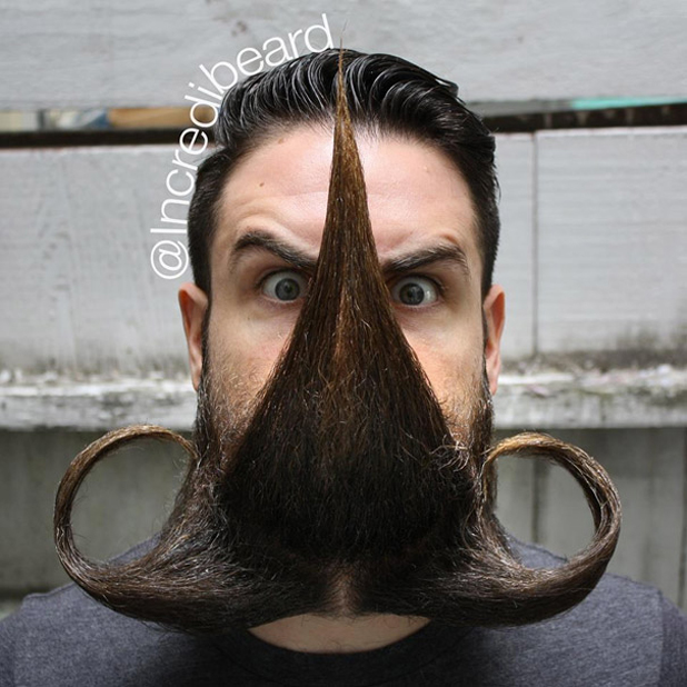 incredibeard incredibeard
