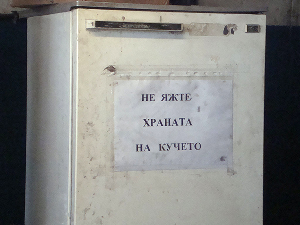 веселка тончева веселка тончева