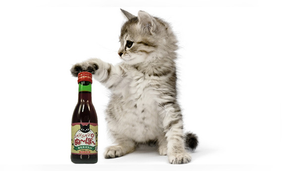 котка с вино котка с вино