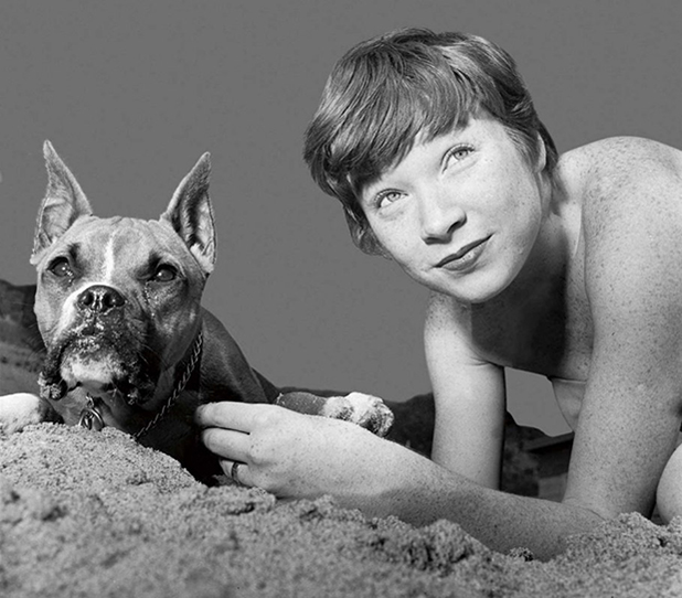 hollywood puppies hollywood puppies