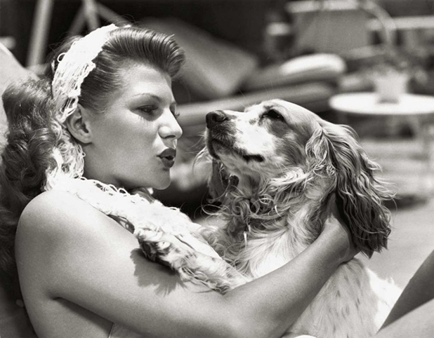 hollywood puppies hollywood puppies