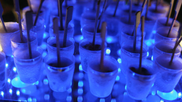 absolut коктейли absolut коктейли