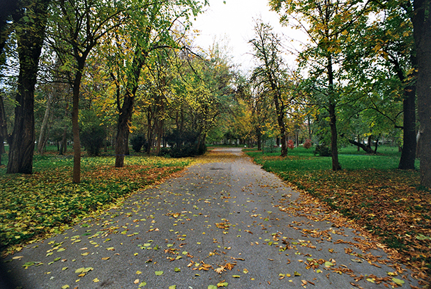парк парк