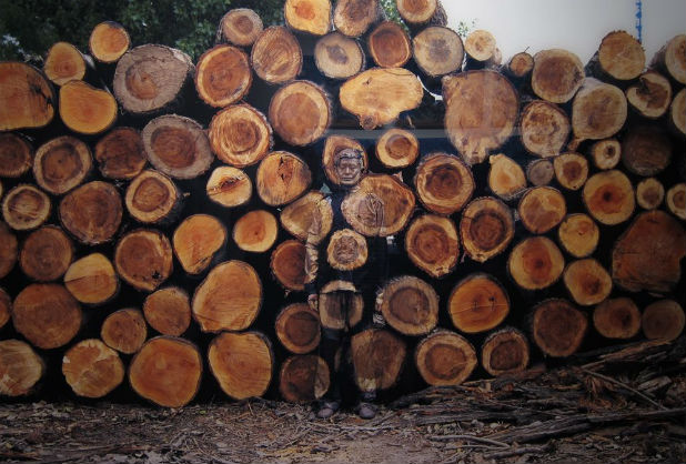 невидимият фотограф невидимият фотограф