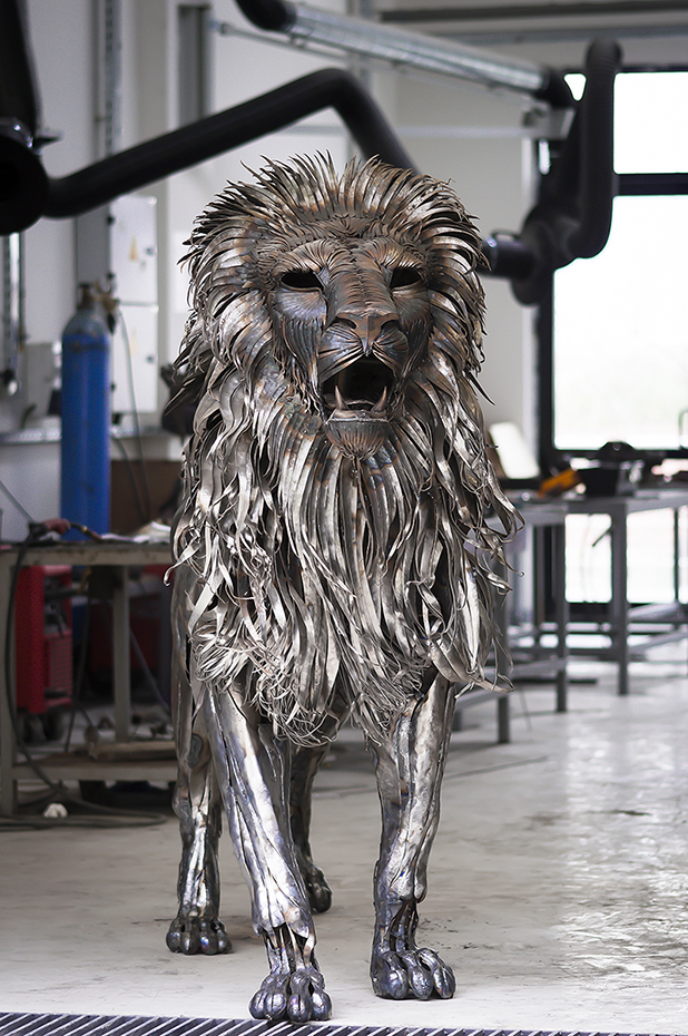 aslan aslan