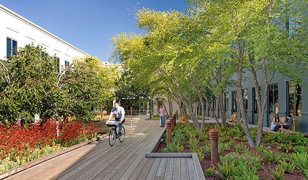 coolest offices coolest offices