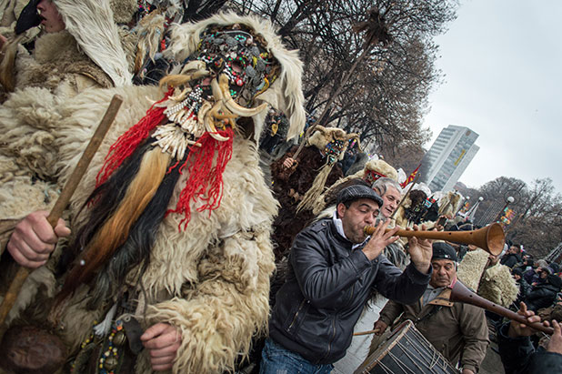 сурва 2014 сурва 2014
