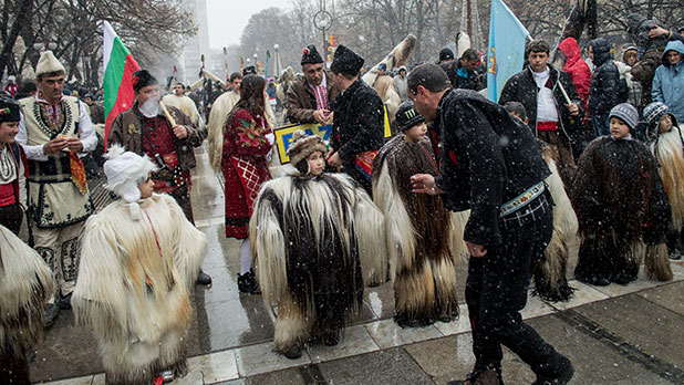 сурва 2014 сурва 2014