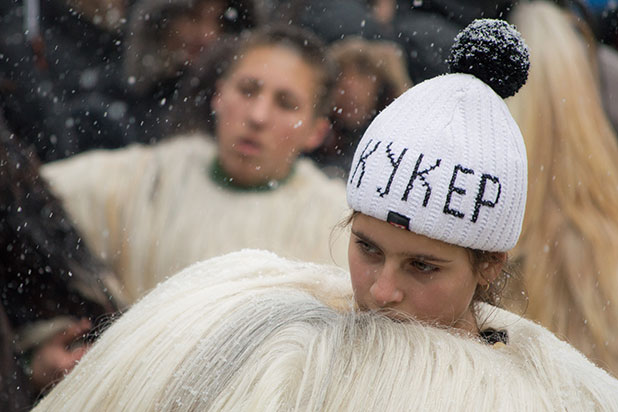 сурва 2014 сурва 2014