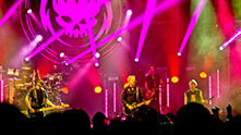 the offspring 221