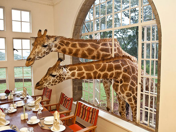 amazing hotels amazing hotels